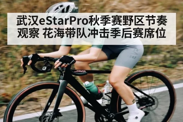 武汉eStarPro秋季赛野区节奏观察 花海带队冲击季后赛席位